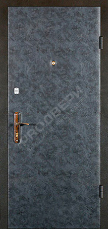 Фотография «Дверь Винилискожа №6»