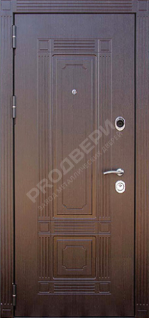 Фотография «Бронированная №4»