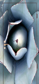 Фотография «Дверь с фотопечатью №3»